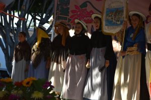 Festivales dsc 0297