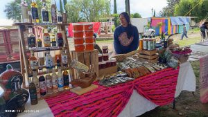 Festivales img 20250628 095937