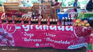 Festivales img 20250628 100204