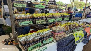 Festivales img 20250628 100526