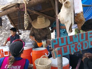 Festivales oplus 32