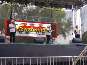 Festivales oplus 0