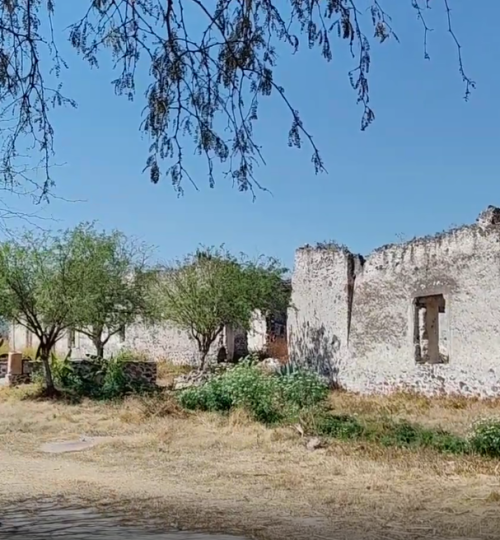 captura de pantalla 2026 03 17 a la(s) 3.46.35 p.m.